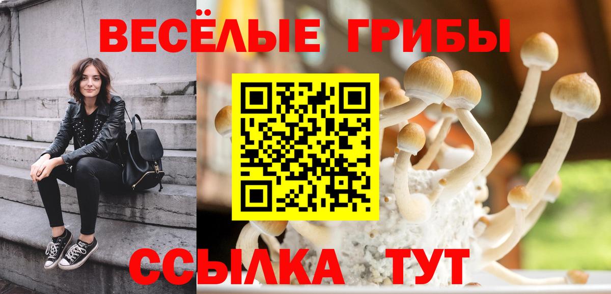 Галлюциногенные грибы мицелий  Вход с VPN  Галлюциногенные грибы GOLDEN TEACHER  Узловая 
